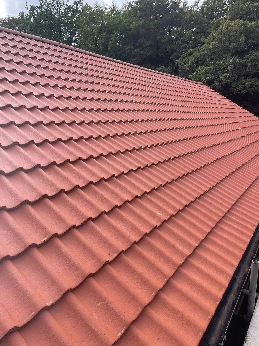 Pitched roofing tiles freshly laid